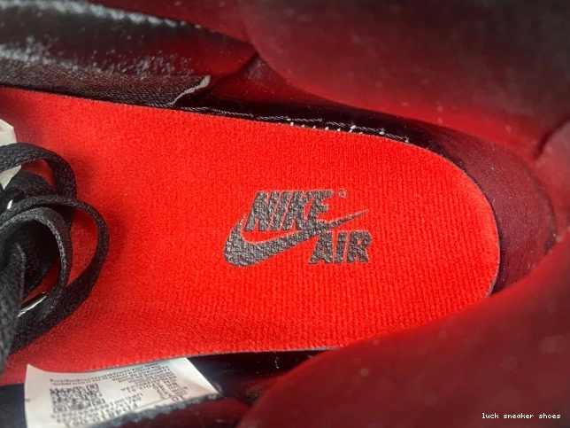Rep LUCY Jordan High OG 1 Air FD4810-061 Bred Satin WMNS 0805